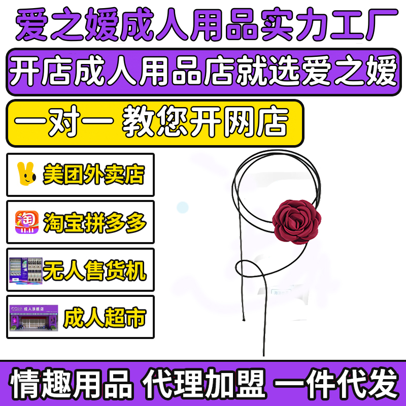 ϵINSWtõ廨ih